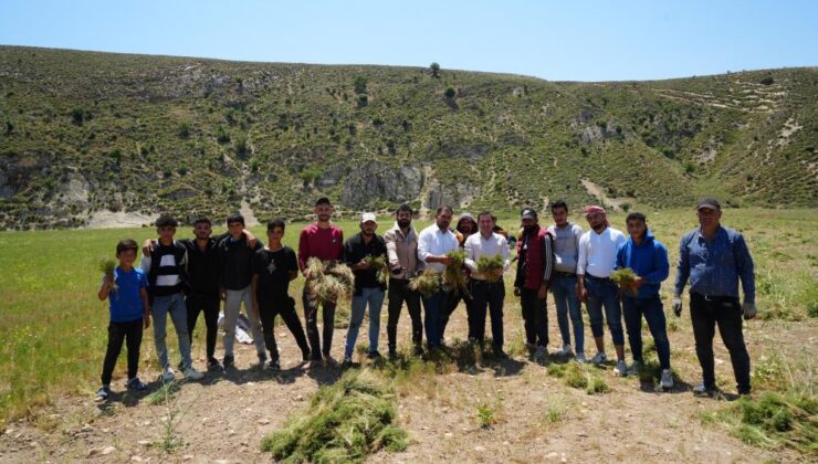 Kilis’te kimyon hasadı başladı