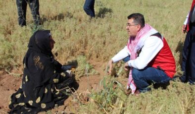 Kimyon hasadı şanlıurfa’da başladı