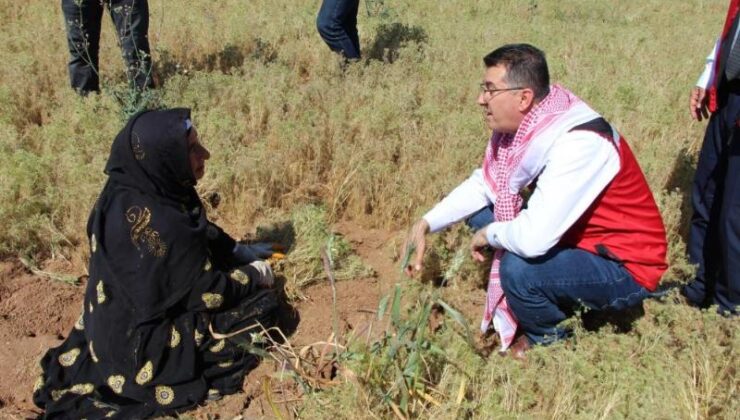 Kimyon hasadı şanlıurfa’da başladı