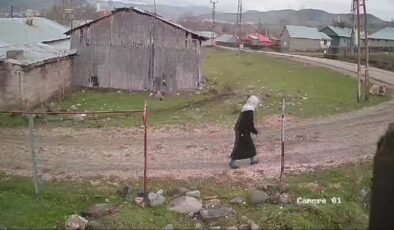 Köpeklerin saldırdığı 80 yaşındaki kadın yaşadığı korkuyu unutamıyor