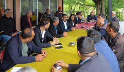 Kulp ilçesinde yol ve su sorunları çözülecek