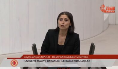 Licedeki Hastane meclis gündeminde