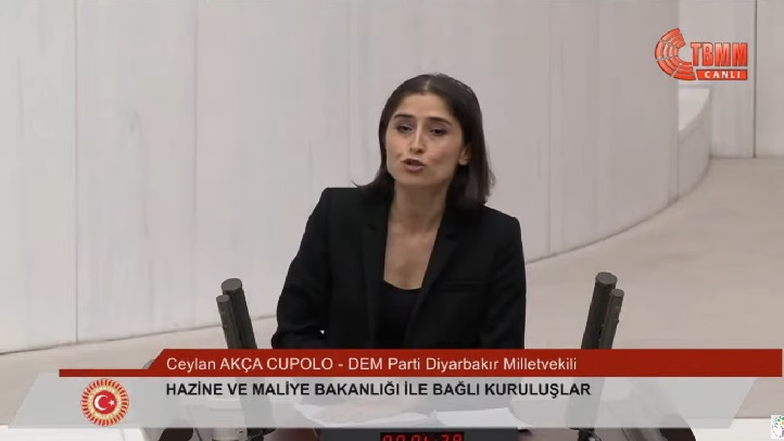 Licedeki Hastane meclis gündeminde