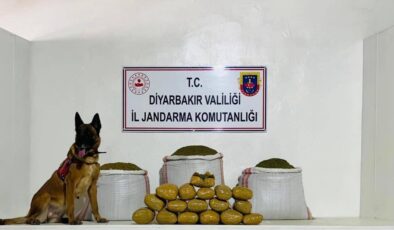 Lice’de 76 kilo toz esrar ele geçirildi