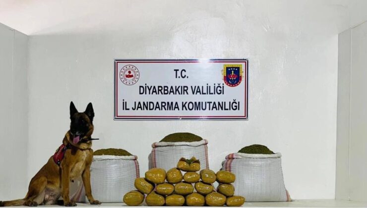 Lice’de 76 kilo toz esrar ele geçirildi
