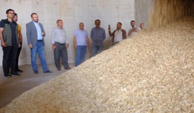 Mardin’de 2024 sezonunun ilk arpa hasadı yapıldı