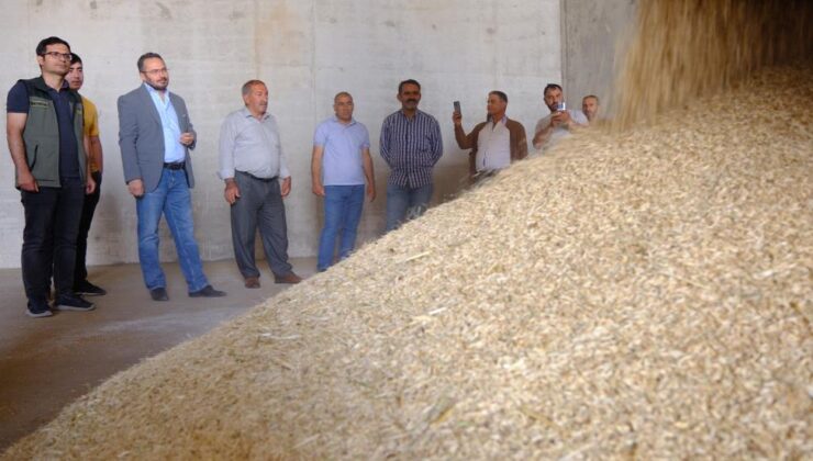Mardin’de 2024 sezonunun ilk arpa hasadı yapıldı