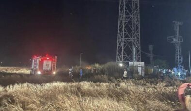 Mardin’de buğday tarlası yangında kül oldu
