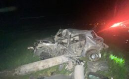 Muş’ta trafik kazası: Otomobil direğe çarptı,  1 ölü