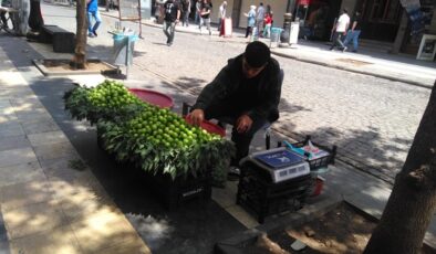 Papaz Eriği tezgahlarda