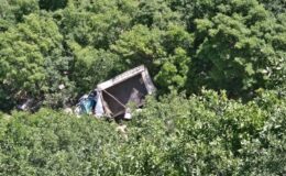 Pervari’de kamyonet şarampole yuvarlandı
