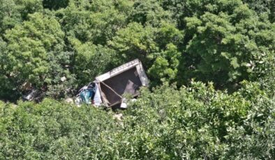 Pervari’de kamyonet şarampole yuvarlandı