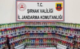 Şırnak’ta kaçakçılara büyük darbe