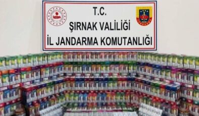 Şırnak’ta kaçakçılara büyük darbe