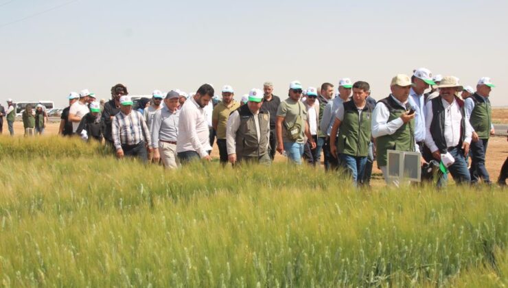 TİGEM’den bölge çiftçisini umutlandıran proje