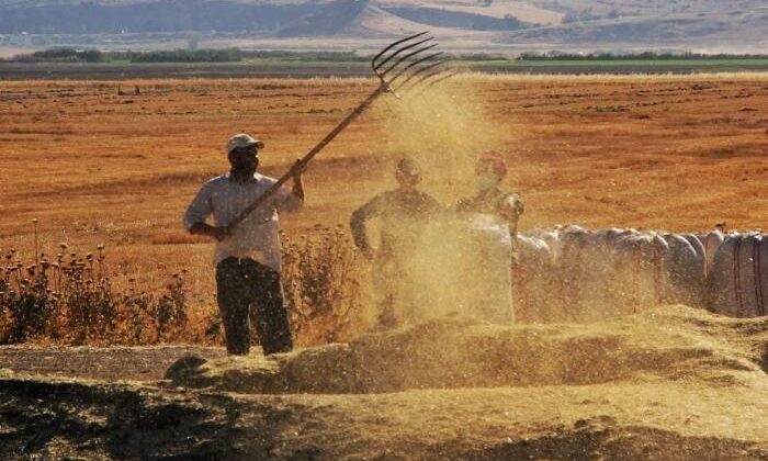 Tarım-ÜFE nisanda yıllık yüzde 60,77 arttı