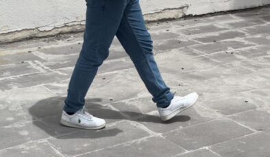 Tatvan’da çekirge istilası durma noktasına geldi