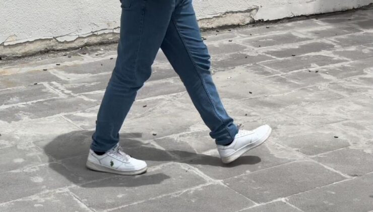 Tatvan’da çekirge istilası durma noktasına geldi