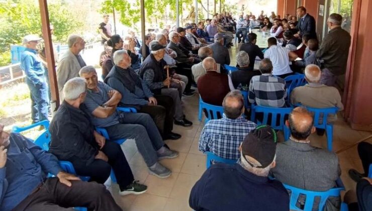 Ulukale dut üreticilerine hibeli destek