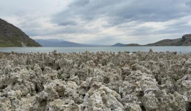Van gölü’nde mikrobiyalit sürprizi