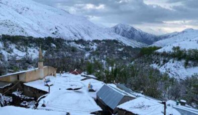 Van’a mayıs ayında lapa lapa kar yağdı