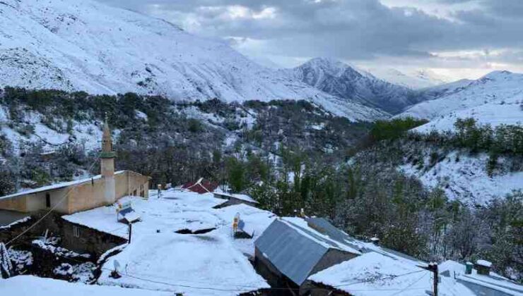 Van’a mayıs ayında lapa lapa kar yağdı