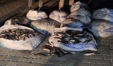 Van’da büyük miktar inci kefali kaçakçılığı engellendi