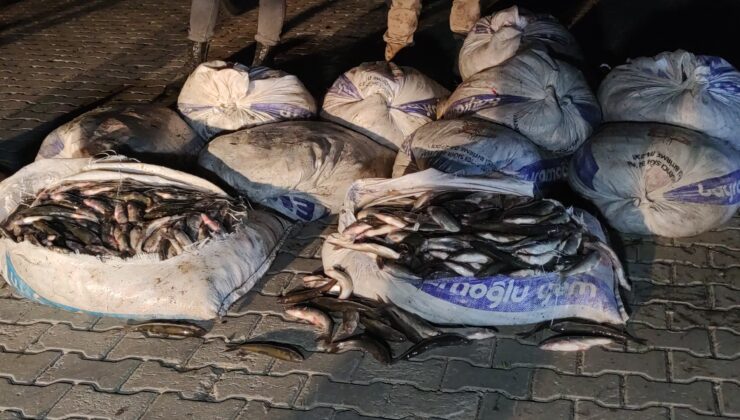 Van’da büyük miktar inci kefali kaçakçılığı engellendi