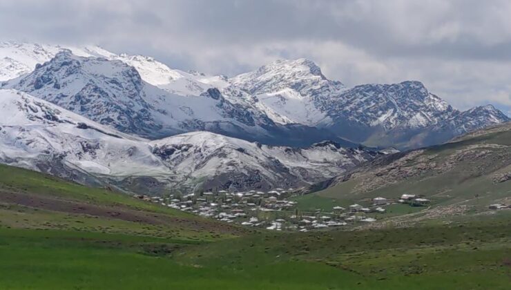 Van’ın dağlarında kış, ovalarında bahar güzelliği yaşanıyor