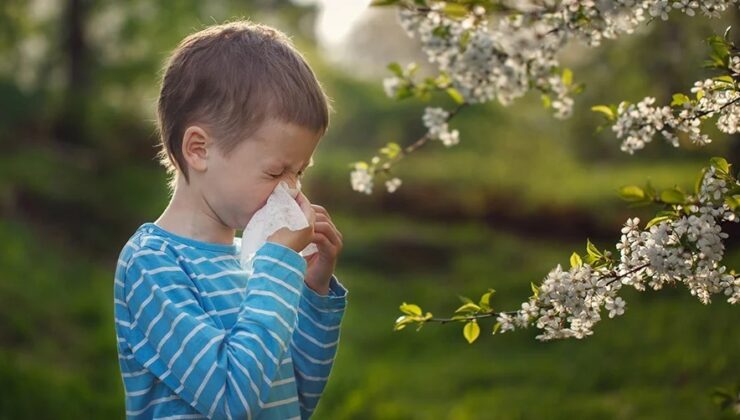 Uzmanından ‘Polen Allerjisi’ uyarısı!