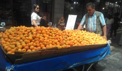 Malatya kayısısı Diyarbakır’da görücüye çıktı: Kilogramı 30 TL