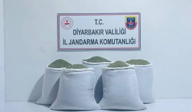 Diyarbakır’da 230 kilo esrar ele geçirildi