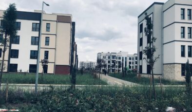 Depremin ardından yeniden yükselen umudun izleri