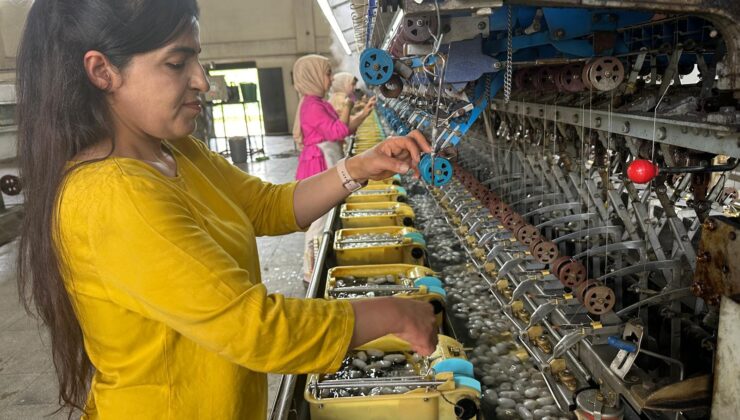 Kulp’ta İpek Böcekçiliği Sezonu başladı