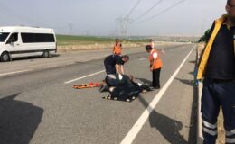 Çobanı otomobil çarptı, hayatını kaybetti