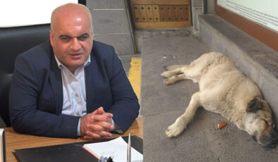 Karakaş: Görme engelliler olarak sokak köpeklerinden çok şikayetçiyiz