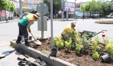 Bağlar’da refüjler kadife çiçekleriyle güzelleşiyor