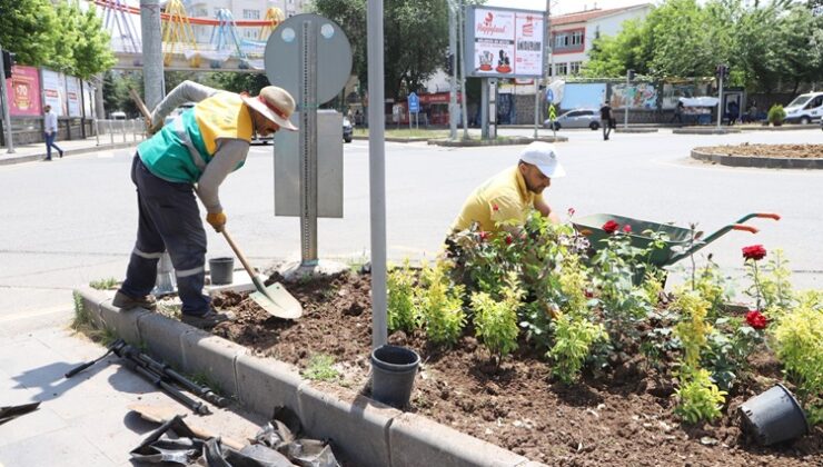 Bağlar’da refüjler kadife çiçekleriyle güzelleşiyor