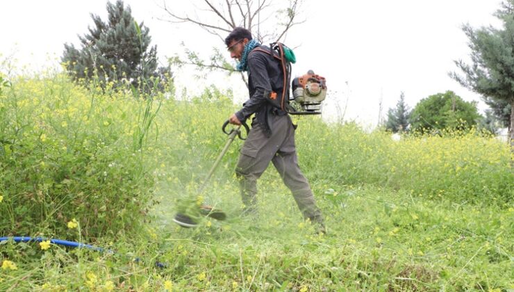 3 milyon 755 bin metrekarelik yeşil alan elden geçirildi