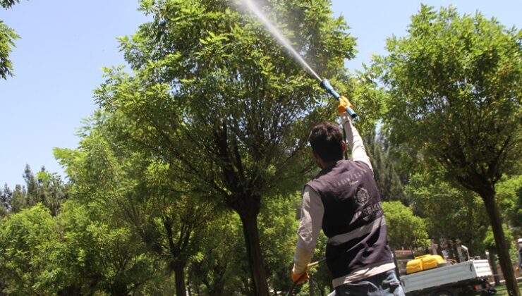 Bismil ilçesinde ilaçlama çalışmaları hız kazandı