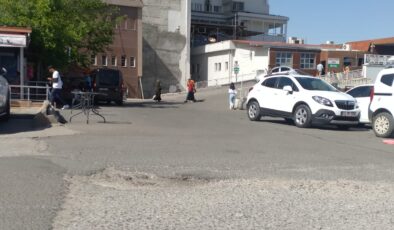 Hastane bahçesi köstebek yuvası gibi