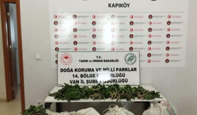 İran uyruklu kişiye biyoçeşitliliği tahripten ceza!