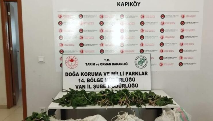 İran uyruklu kişiye biyoçeşitliliği tahripten ceza!
