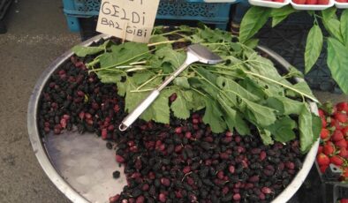 Diyarbakır’ın Karahöbürleri Tezgahlarda