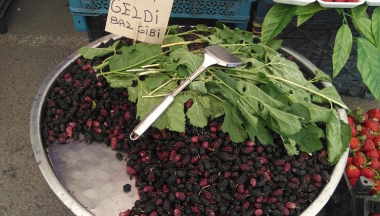 Diyarbakır’ın Karahöbürleri Tezgahlarda