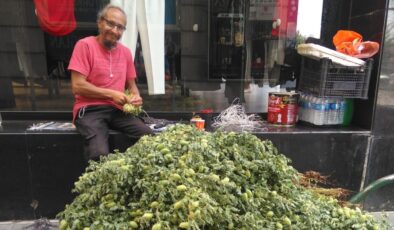 Geçimini Yeşil Nohut satarak sağlıyor