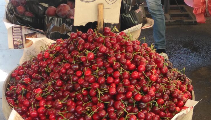 Ağrı kesiciden 10 kat daha etkili şifa deposu kiraz tezgahlarda