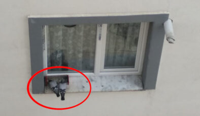 Diyarbakır’da sokak hayvanlarına karşı hassasiyetin bir göstergesi
