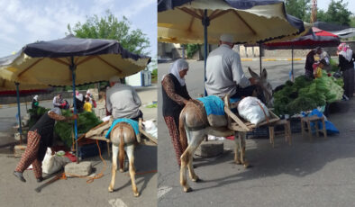 Eşeğiyle pazara gelen yaşlı vatandaş keyifli anlar yaşattı