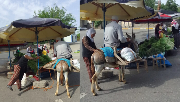 Eşeğiyle pazara gelen yaşlı vatandaş keyifli anlar yaşattı